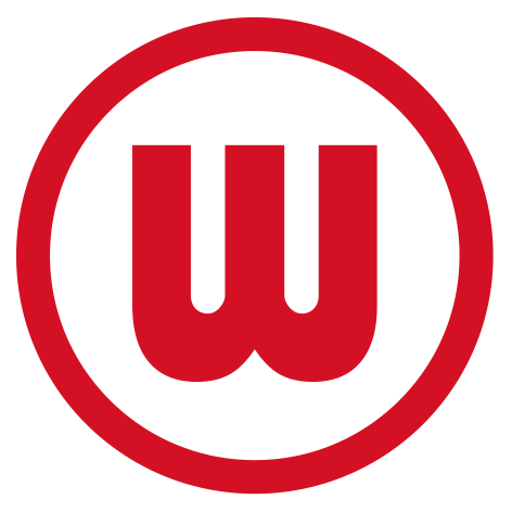 Witt-Gruppe